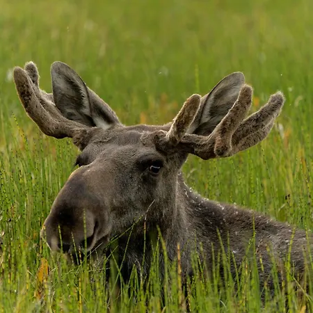 Eagle Bay - Waterfront Rorbu A