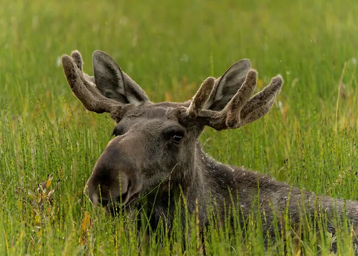 Eagle Bay - Waterfront Rorbu A
